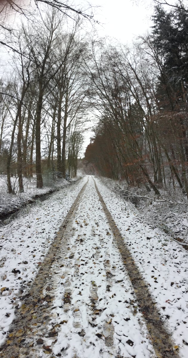 Matschiger Weg mit Schnee