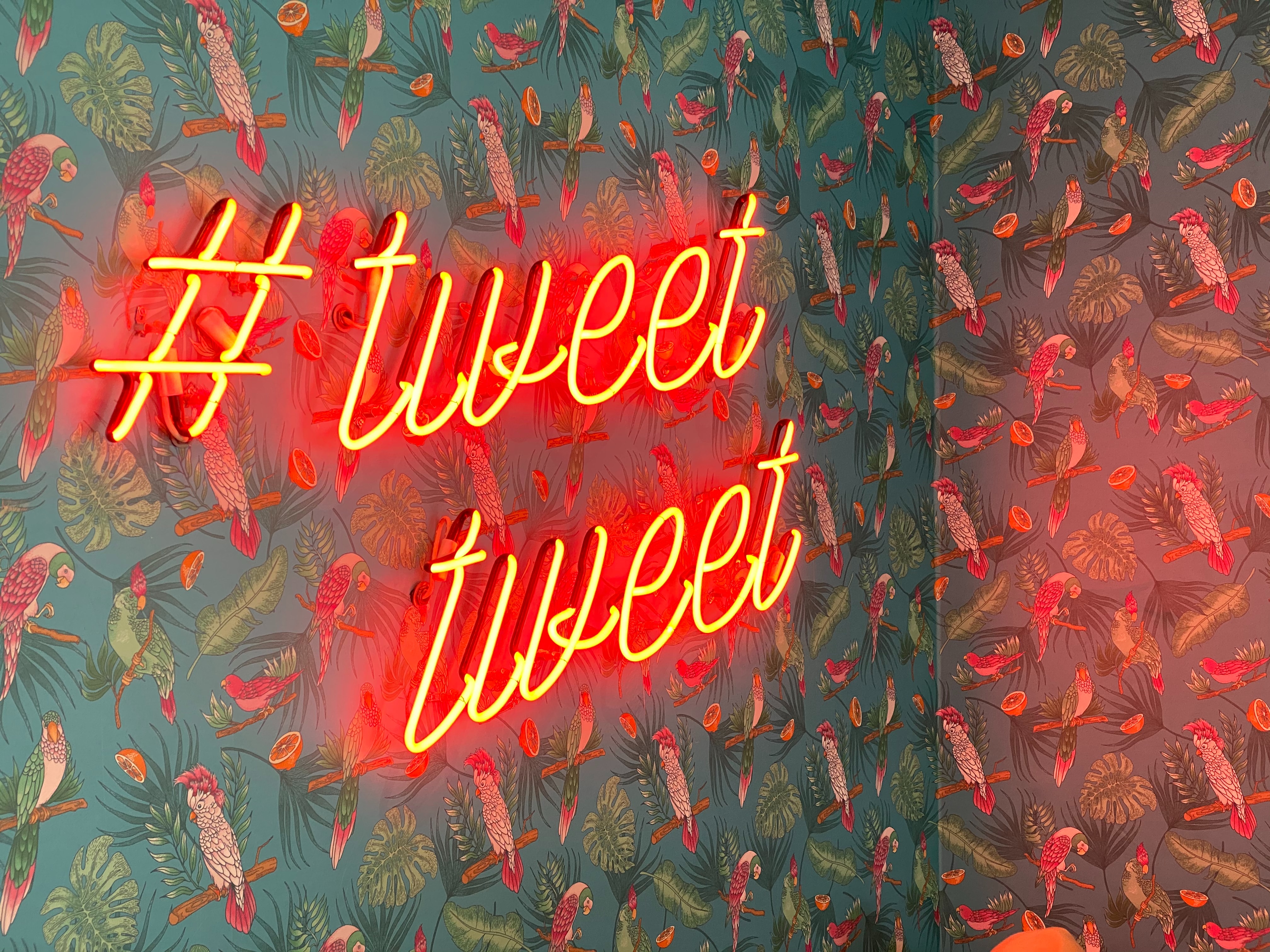 Roter Neonschriftzug mit #tweet #tweet auf Vogeltapete